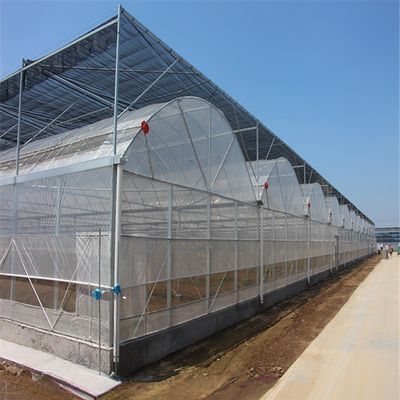 4.0-8.0M 高さ 農業 トマト ターンキープロジェクトのための多スパンプラスチックフィルム温室