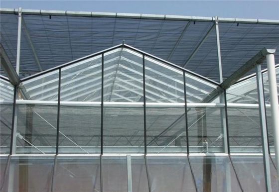 ホットガルバン化鉄筋構造 野菜農業のためのヴェンロガラス温室