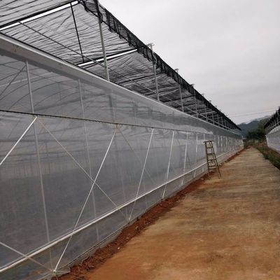 4.0-8.0M 高さ 農業 トマト ターンキープロジェクトのための多スパンプラスチックフィルム温室