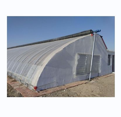 150/200 マイクロフィルム付き太陽温室 生産性のある黄瓜栽培