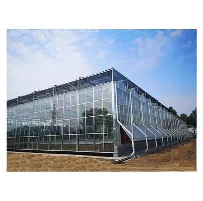 大型ヴェンロガラス温室 野菜栽培のための理想的な解決策 ターンキープロジェクト