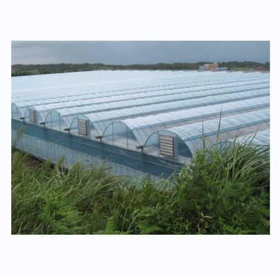 超強い耐久性を持つ工業用水培温室 多スパン温室