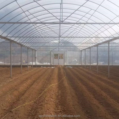 野菜 果物 花 フィルム温室 中国製 多スパン温室 トマト栽培用