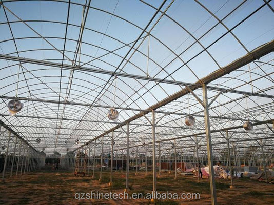 野菜 果物 花 フィルム温室 中国製 多スパン温室 トマト栽培用