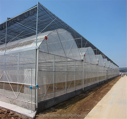 野菜 果物 花 フィルム温室 中国製 多スパン温室 トマト栽培用