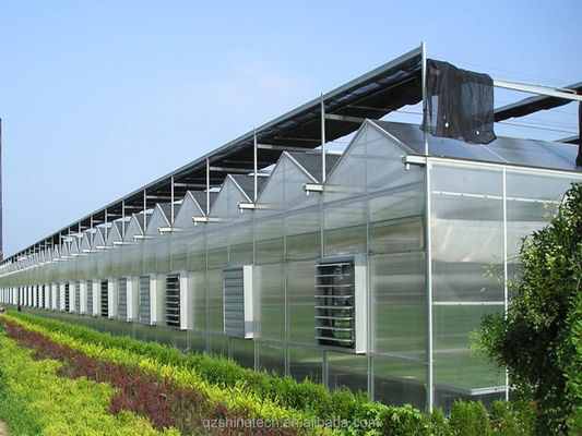 野菜や花を栽培するための大規模の多種間農業温室