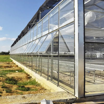 グラスカバー NFT 水栽培栽培システム 垂直農業の究極の解決策