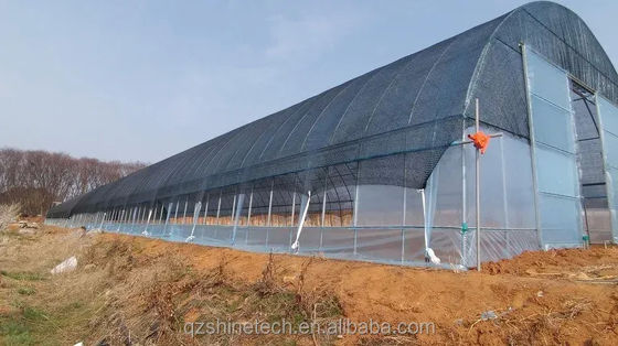 フィルムカバー 50x8m シングルスペンタイプ農業トンネル温室 高さ3.5-5M