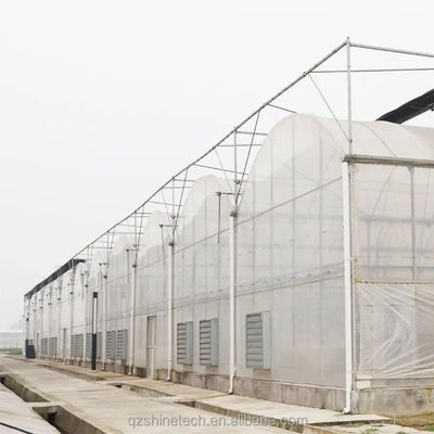 適正な灌輸 単層作物のための農業用多スパンプラスチック温室