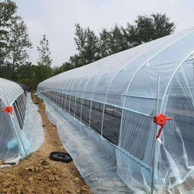 液体栽培トマト栽培のためのPEトンネル温室 簡単に組み立て 長さ10~100m