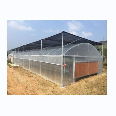 小型単段 PE プラスチックフィルム温室 野菜農業用 10-100m 長さ