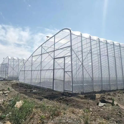 パシブソーラー温室 カナダ市場 商業農業用温室
