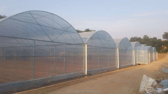 超強い耐性 農業 野菜の栽培のための多面温室枠