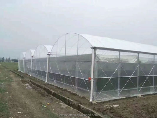 超強い耐性 農業 野菜の栽培のための多面温室枠