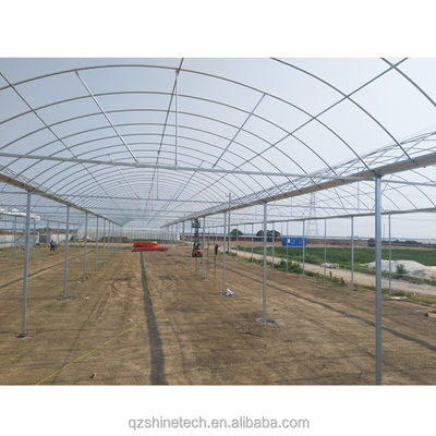8m Span Width Multi Span 冷却システム付き農業用商用トマト温室