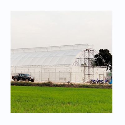 200ミクロン紫外線保護 PEフィルム トマトと黄瓜の栽培のためのシングルトンネル温室