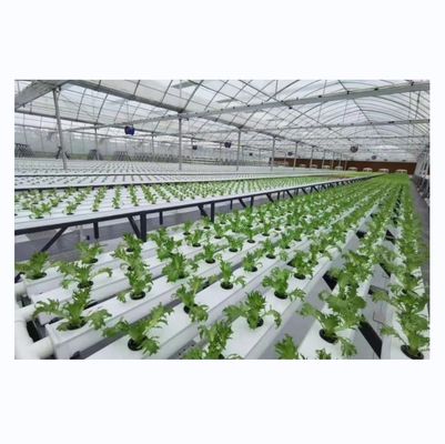 水平型PVC NFTチャネル 定量化サイズ 水素栽培葉野菜栽培
