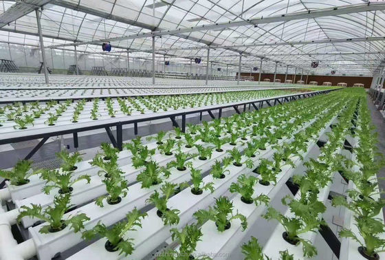 水平型PVC NFTチャネル 定量化サイズ 水素栽培葉野菜栽培