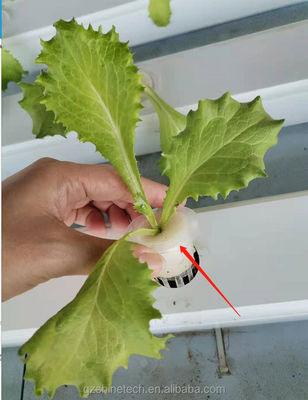水平型PVC NFTチャネル 定量化サイズ 水素栽培葉野菜栽培