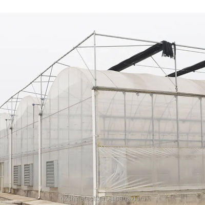 8m Span Width マルチスペン農業温室 多様な農業ソリューションのために