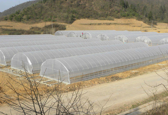 緑の野菜トンネル温室 簡単に組み立てられ 150/200マイクロフィルム