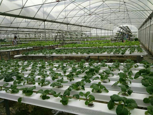 カスタマイズされたNFT水栽培のための100*50mmPVC植樹溝のビデオ検査
