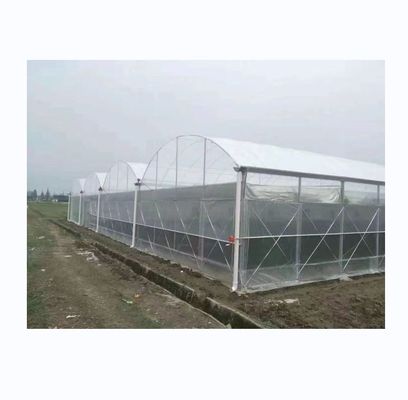 150/200 マイクロン プラスチックフィルム 多スパン温室 野菜や花を栽培する