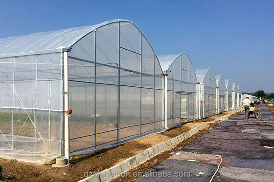 150/200 マイクロン プラスチックフィルム 多スパン温室 野菜や花を栽培する