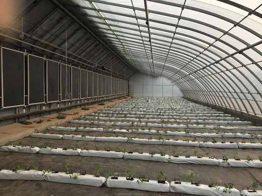 冬野菜の生産のために耐久性のある単段農業温室