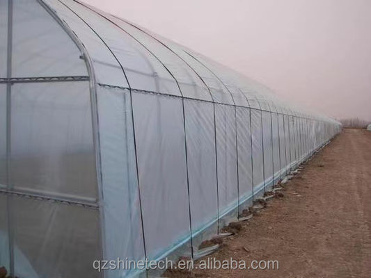 温室フィルムバンド 200m 250m 300m 長さ 農業用温室