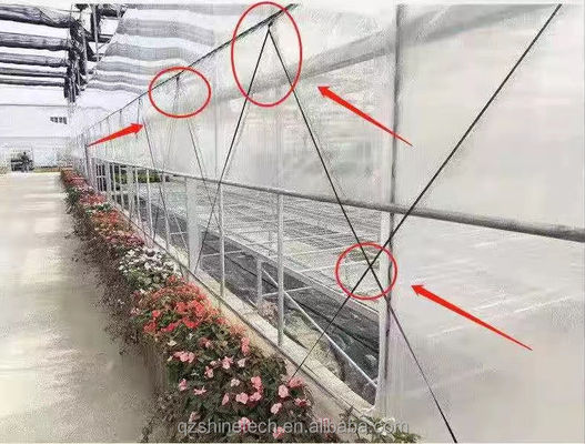 温室フィルムバンド 200m 250m 300m 長さ 農業用温室