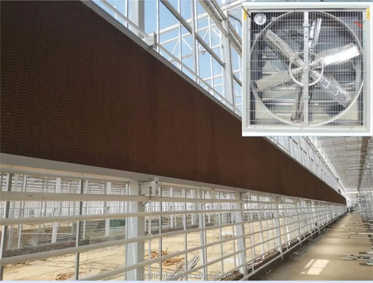 温室家禽屋の換気システムのための大気流出扇風機 60KG